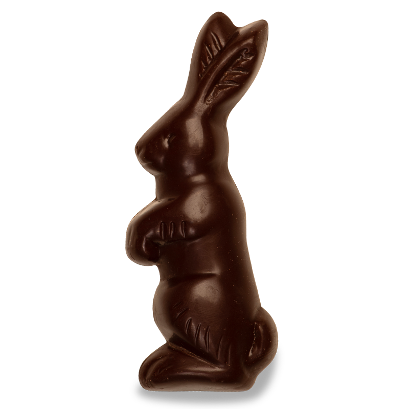 Flachhase – Bild 3